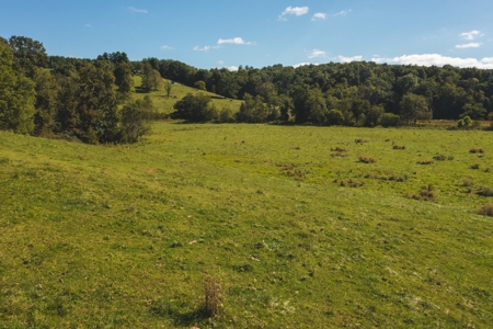 Land for Sale in Floyd County VA! - image 3