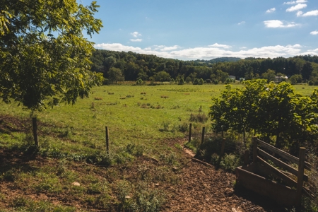 Land for Sale in Floyd County VA! - image 2