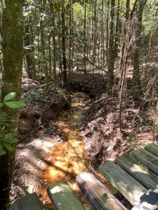 Pat's Paradise - image 6