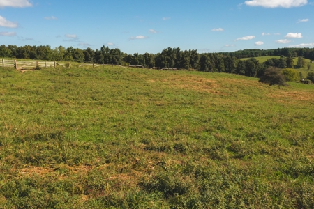 Land for Sale with Creek Frontage in Floyd VA - image 4