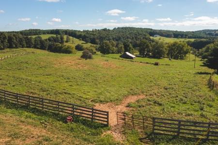 Land for Sale with Creek Frontage in Floyd VA - image 2