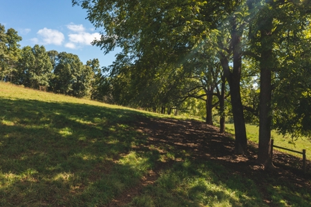 Land for Sale with Creek Frontage in Floyd VA - image 14