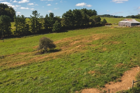 Land for Sale with Creek Frontage in Floyd VA - image 8