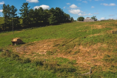 Land for Sale with Creek Frontage in Floyd VA - image 13