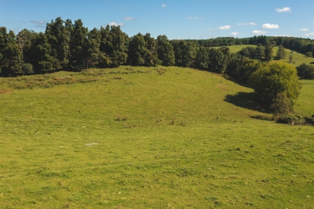Land for Sale with Creek Frontage in Floyd VA - image 7
