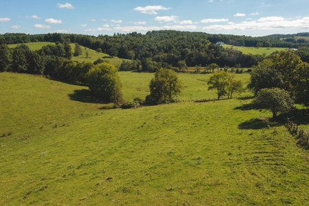 Land for Sale with Creek Frontage in Floyd VA - image 11