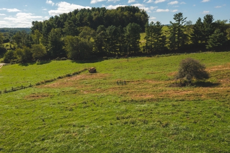 Land for Sale with Creek Frontage in Floyd VA - image 9