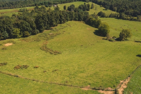 Land for Sale with Creek Frontage in Floyd VA - image 1