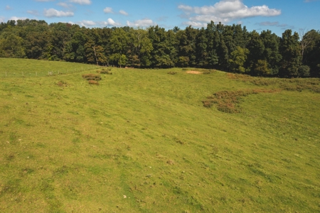 Land for Sale with Creek Frontage in Floyd VA - image 6