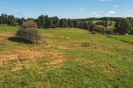 Land for Sale with Creek Frontage in Floyd VA - image 5