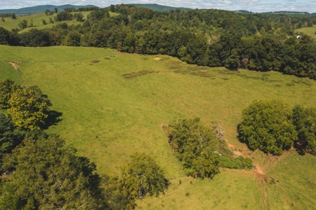 Land for Sale with Creek Frontage in Floyd VA - image 15