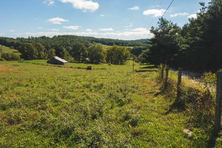 Land for Sale with Creek Frontage in Floyd VA - image 3