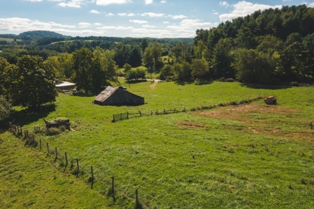 Land for Sale with Creek Frontage in Floyd VA - image 10