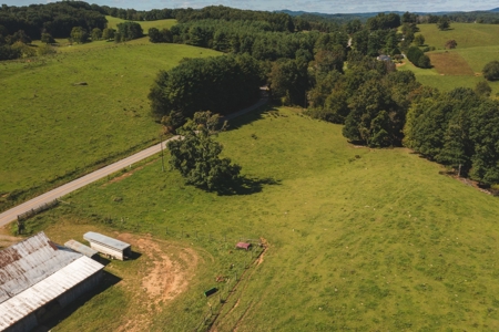 Open & Wooded Land for Sale in Floyd VA! - image 10