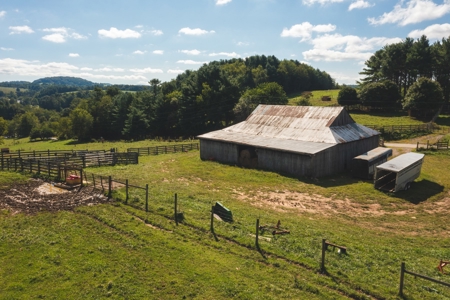 Open & Wooded Land for Sale in Floyd VA! - image 9