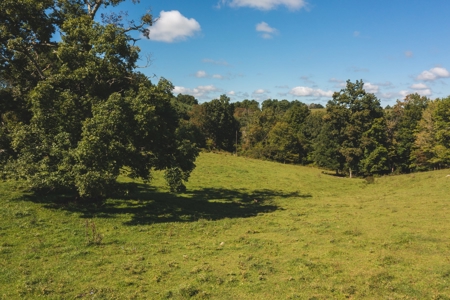 Open & Wooded Land for Sale in Floyd VA! - image 5