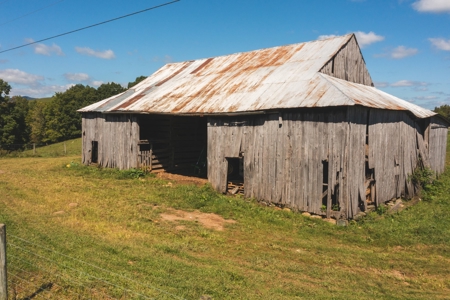 Open & Wooded Land for Sale in Floyd VA! - image 14