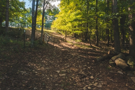 Open & Wooded Land for Sale in Floyd VA! - image 3