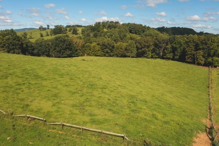 Open & Wooded Land for Sale in Floyd VA! - image 6