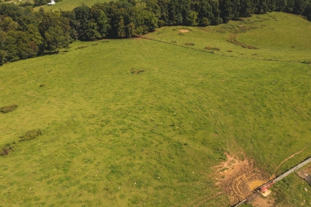 Open & Wooded Land for Sale in Floyd VA! - image 11