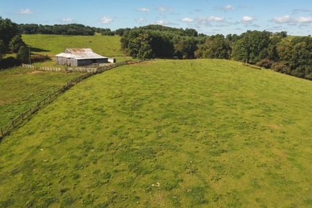 Open & Wooded Land for Sale in Floyd VA! - image 7