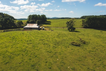 Open & Wooded Land for Sale in Floyd VA! - image 8