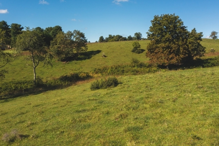 Land for Sale in Floyd VA with Views! - image 13