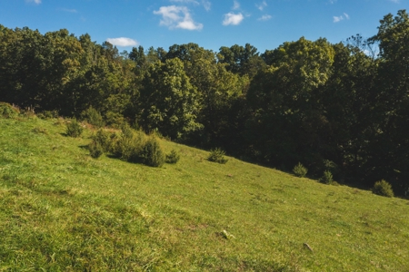 Land for Sale in Floyd VA with Views! - image 12