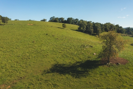 Land for Sale in Floyd VA with Views! - image 6