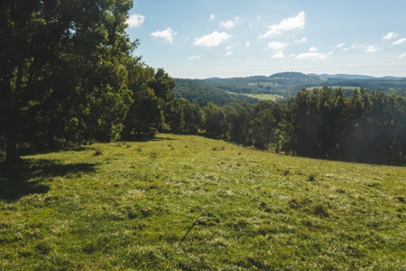 Land for Sale in Floyd VA with Views! - image 10