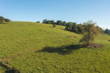 Land for Sale in Floyd VA with Views! - image 2