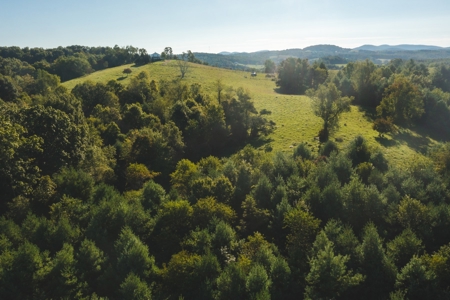 Land for Sale in Floyd County VA! - image 12