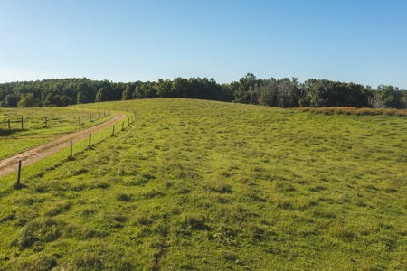Land for Sale in Floyd County VA! - image 25