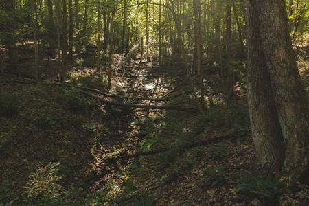Land for Sale in Floyd County VA! - image 20