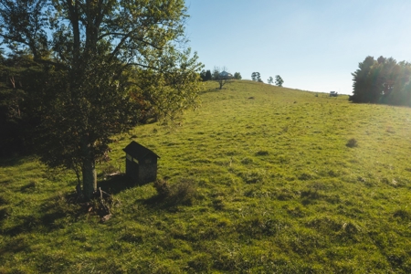 Land for Sale in Floyd County VA! - image 13