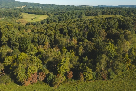 Land for Sale in Floyd County VA! - image 10