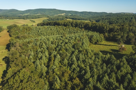 Land for Sale in Floyd County VA! - image 5