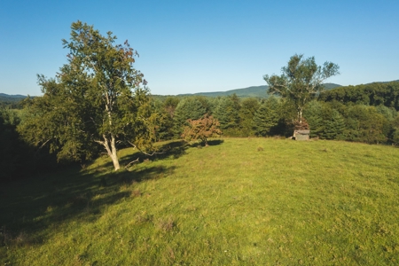 Land for Sale in Floyd County VA! - image 3