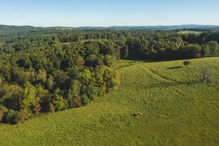 Land for Sale in Floyd County VA! - image 8