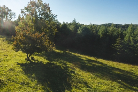 Land for Sale in Floyd County VA! - image 14