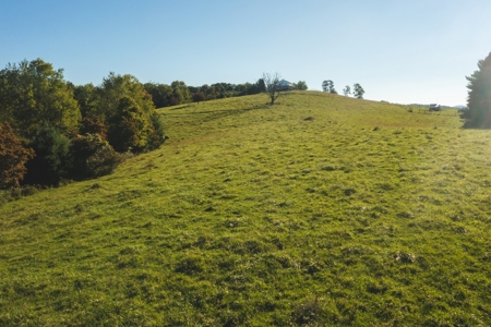 Land for Sale in Floyd County VA! - image 15