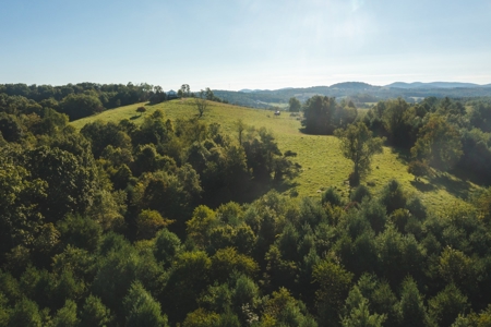 Land for Sale in Floyd County VA! - image 11