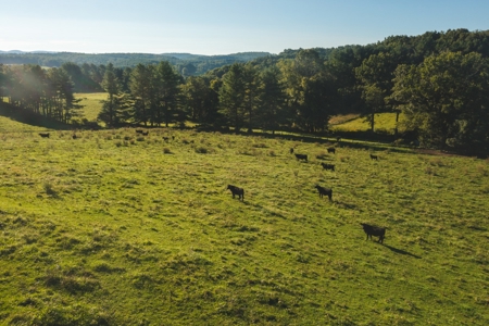 Building Land for Sale in Floyd VA! - image 4