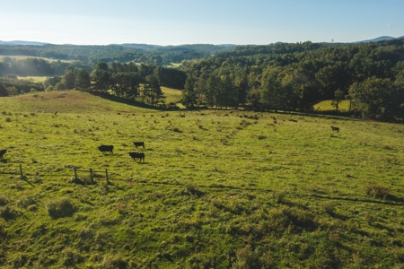 Building Land for Sale in Floyd VA! - image 5