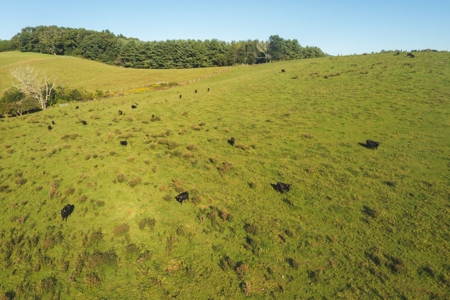 Building Land for Sale in Floyd VA! - image 3