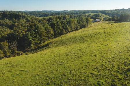 Building Land for Sale in Floyd VA! - image 6