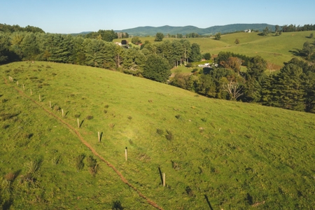 Building Land for Sale in Floyd VA! - image 9
