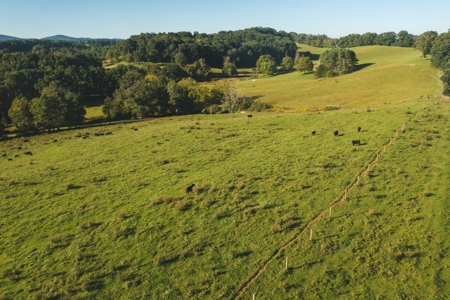 Building Land for Sale in Floyd VA! - image 10