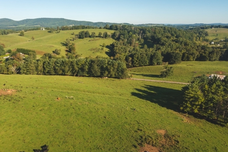 Open Building Land for Sale in Floyd County VA! - image 4