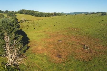 Open Building Land for Sale in Floyd County VA! - image 7